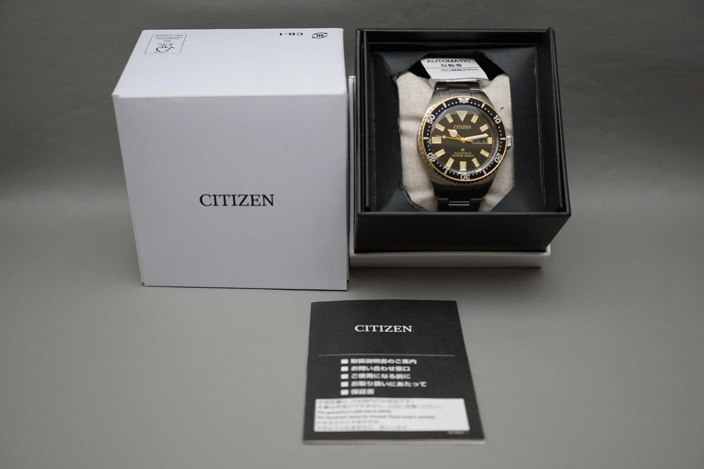 Citizen Promaster NY0125-83E Black Dial Divers 200M Automatic Watch